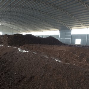 卧式螺带混合机在有机肥料潮湿的夏天桃子移植版v6.05最新版下载中的应用